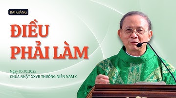 Điều phải làm - Lm Giuse Vũ Hữu Hiền | Chúa nhật XXVII Thường niên năm C