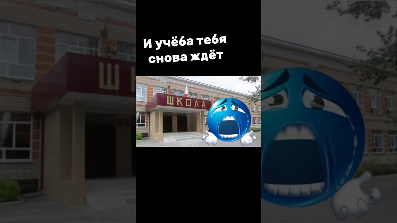 Ты опять проспал всё лето 