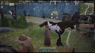 Let's Play Black Desert Online Rain Makes You Wet MMORPG