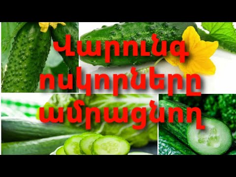 Video: Լոլիկն ու վարունգը խմորիչով կերակրելը. Արդյունավետ բաղադրատոմսեր և ակնարկներ