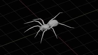 Spider Walk cycle