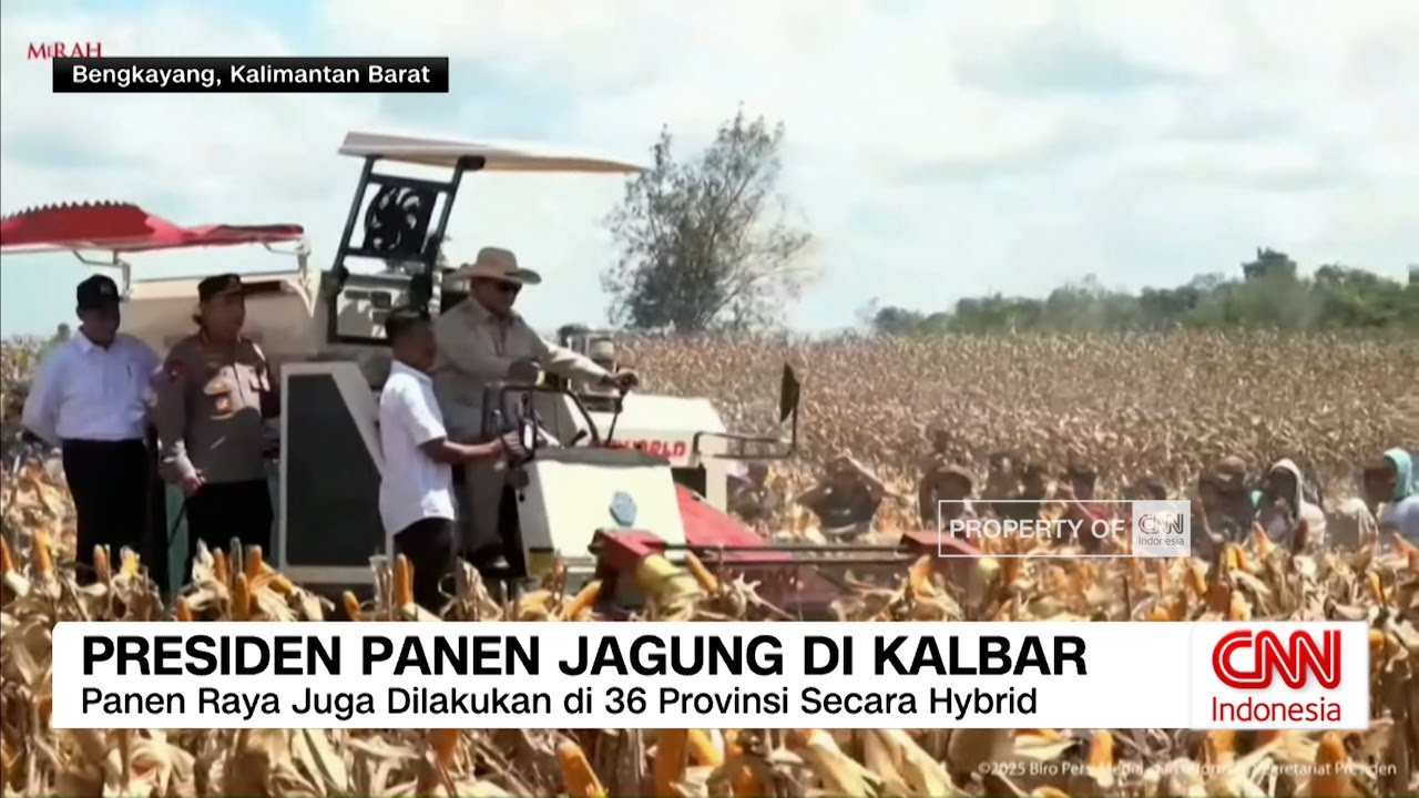 Prabowo Pimpin Panen Raya Jagung Di Kalbar