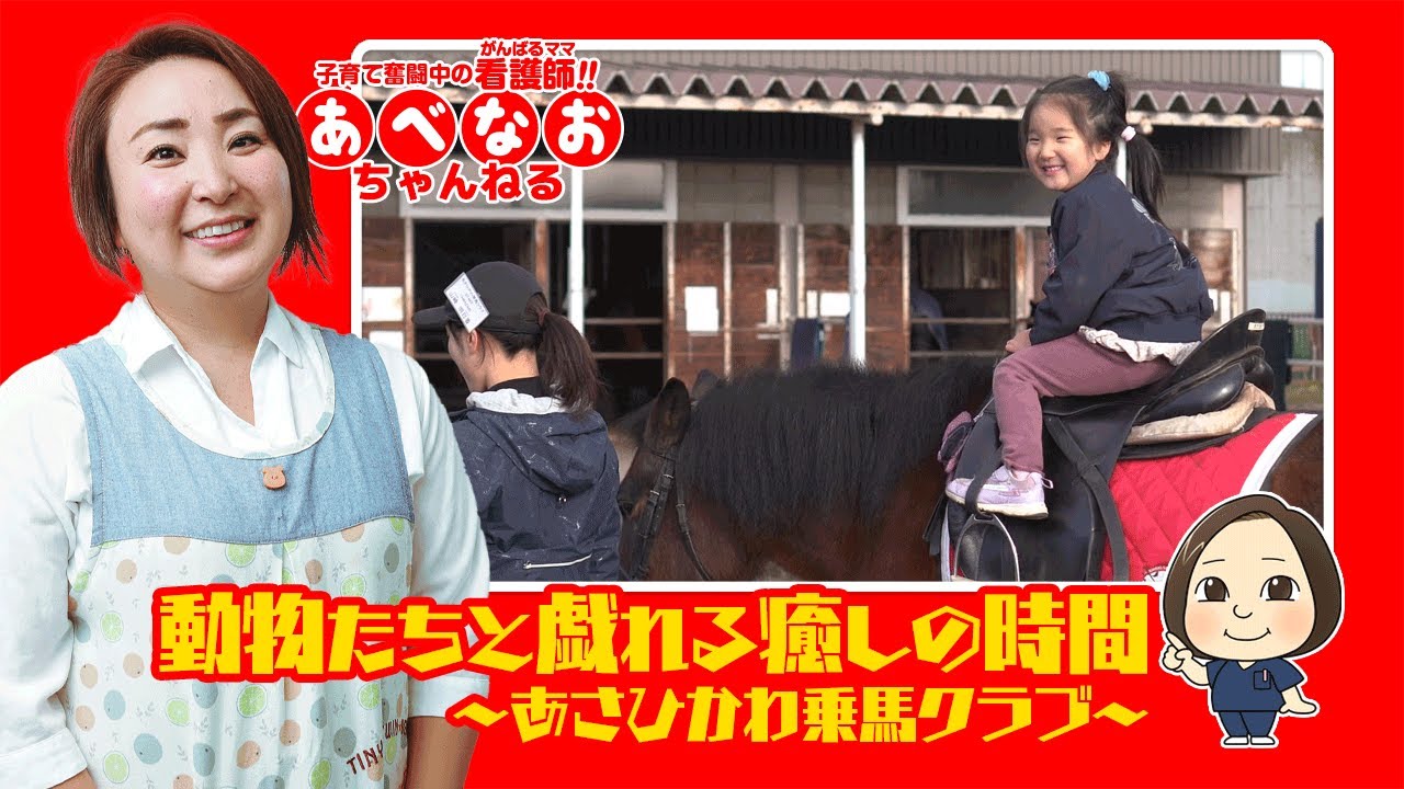 あべなお】お馬さんと戯れる【あさひかわ乗馬クラブ】 - YouTube