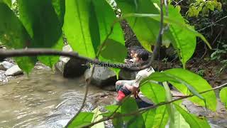 Air Terjun Mini Di Tengah Hutan #jelajah #explore #airterjun #survival