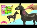 My Dream Horse Breyer Decorating Model Horses Craft Playset - HoneyHeartsc Video