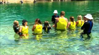 Discovery Cove - Dolphin Swim (Part 1 of 3)  2011
