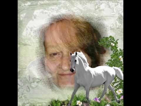 Fantasy - Was hast du denn gedacht (mitgesungen)