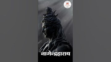 Thumbnail of Nagendra Haraya I Meditate on the syllables of the Holy Mantra " Om Namah Shivay" I Bhakti Life