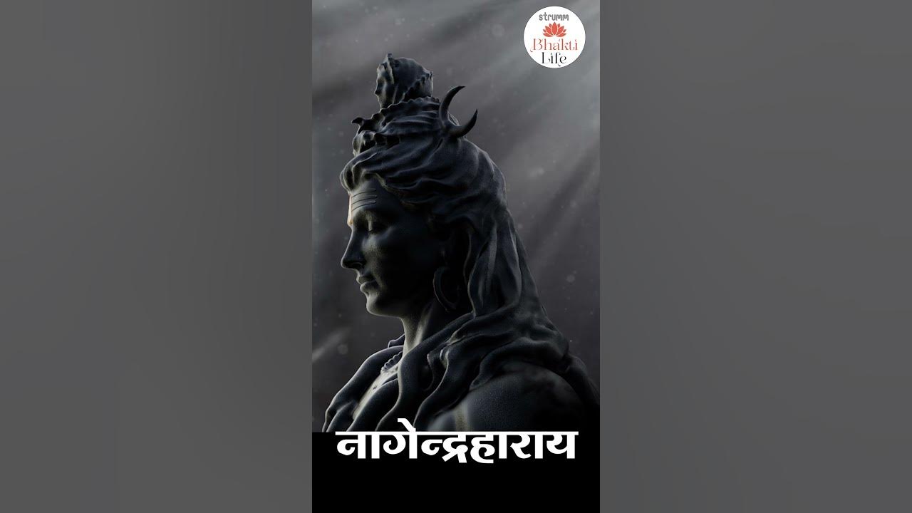 Nagendra Haraya I Meditate on the syllables of the Holy Mantra " Om Namah Shivay" I Bhakti Life Nagendra Haraya I Meditate on the syllables of the Holy Mantra " Om Namah Shivay" I Bhakti Life
