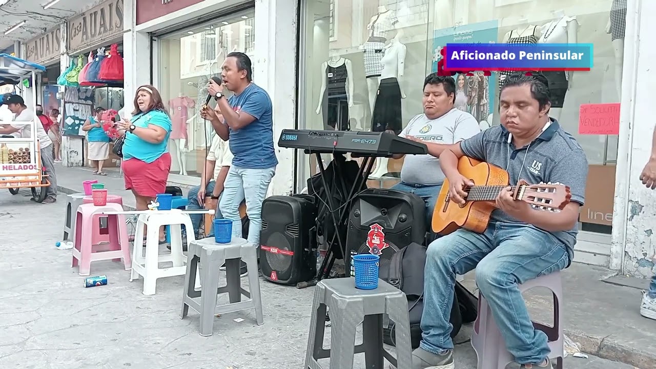 Dia del Bastón Blanco, Brea Musical, No tengo Dinero