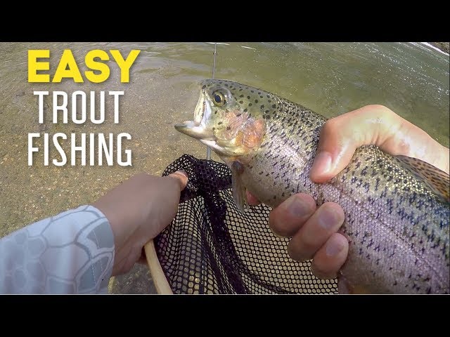 The BEST BAITS for Stocked Trout Fishing! - How to Catch Stocked Trout 