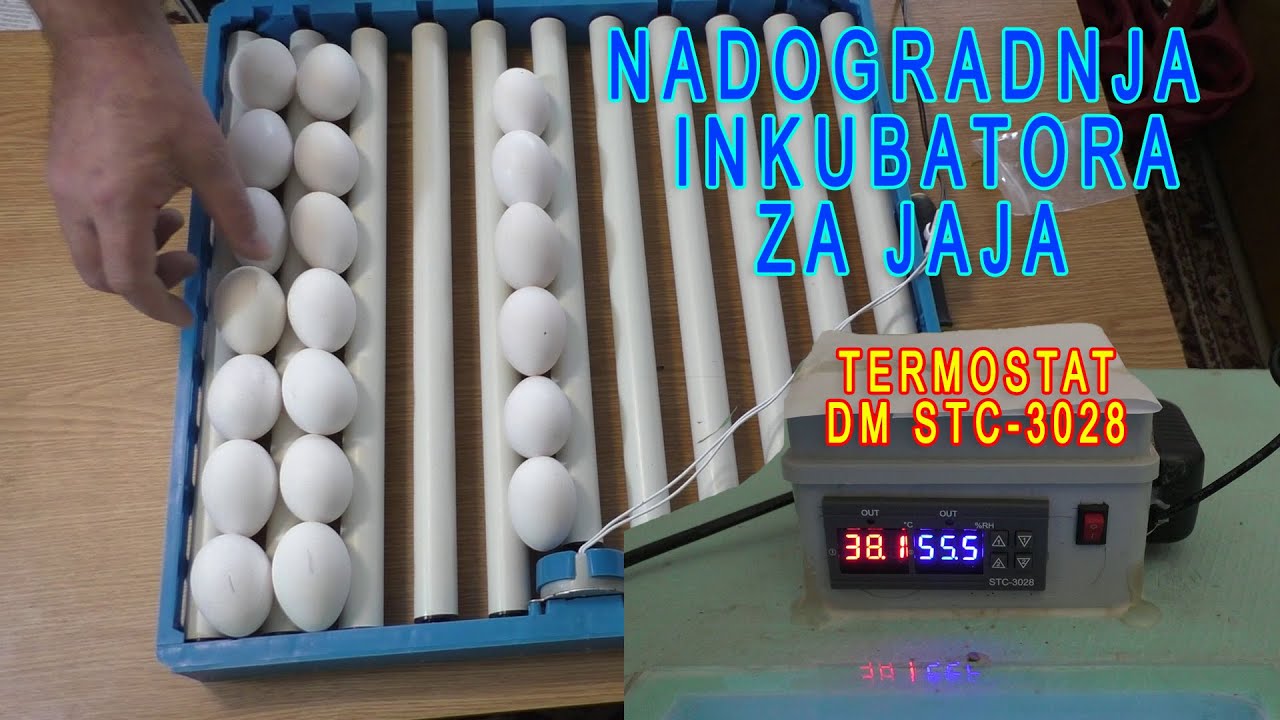 Nadogradnja 2 inkubatora bračnog para MM iz Doboja sa STC3028 termostatom | Inkubator za jaja