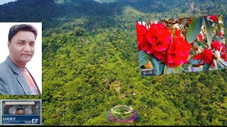 चैत को महीना आलो || chait ko maheena aalo|| Uttarakhandi Song II Fouji Lalit Mohan Joshi Song