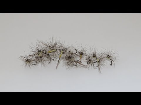 Montage paraloop d'une mouche grise à corps jaune