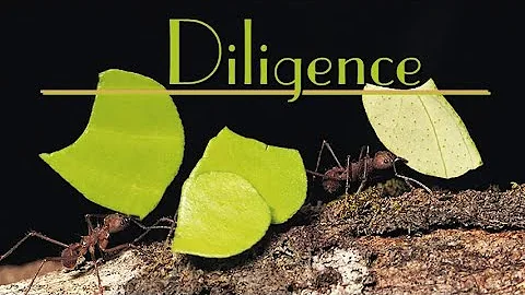 Pt. 11 - Labor Of Love (Diligence)