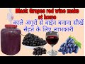 Black Grapes Wine make at home. Desi Shrab & food recipes