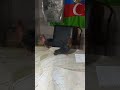 Osmanlı sarayına məxsus türk göyərçinləri!!
