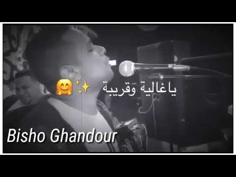 المرعب بيبو ادم منيحة ياحبيبة 