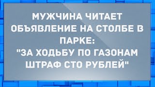 Фото За ходьбу по газонам штраф сто рублей. Анекдоты.