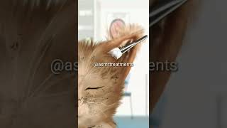 Cat ear cleaning Animated Video #youtubeshorts #shorts #cats