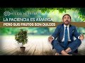 La paciencia es amarga, pero sus frutos son dulces | Helios Herrera