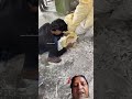 #machine #factory #businessideas #food #wholesale #shortvideo #making #funny
