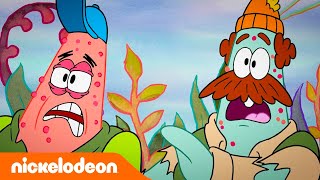 Patryk Rozgwiazda Show | Szalony biwak! | Nickelodeon Polska