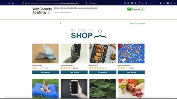 Burp Extension Mini series | Paramalyzer | Bug Bounty Service LLC