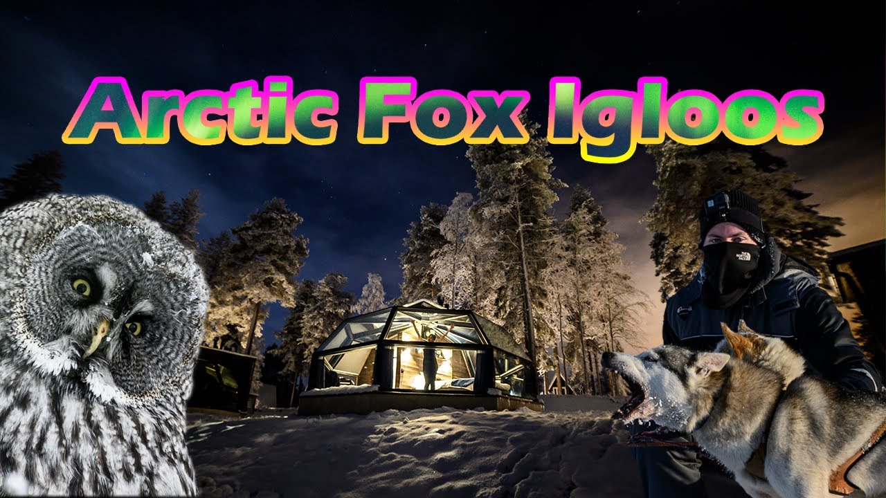 Arctic Fox Igloos - NEW BUILD In FINLAND!