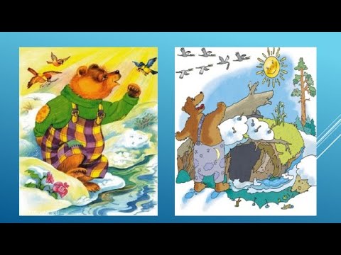 Медведь и солнце мультфильм