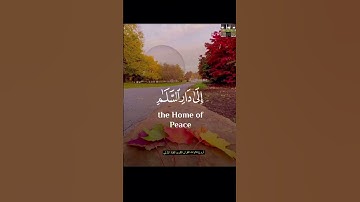 والله يدعو إلى دار السلام #قرآن_كريم #تلاوةخاشعة