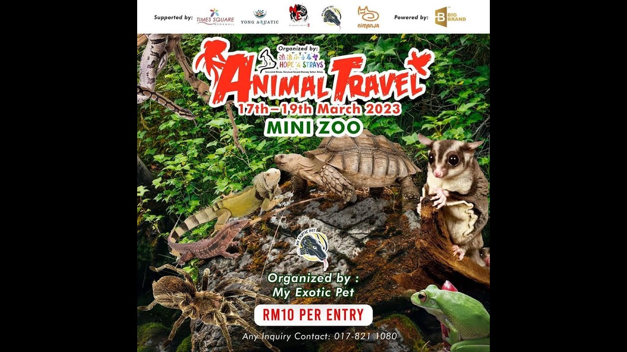 Times Square Megamall Bintulu Pets Lovers Fair宠物展宣传影片 YouTube