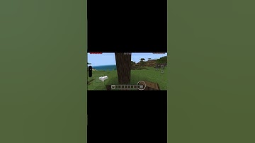 Minecraft, but if I take damage the video ends￼