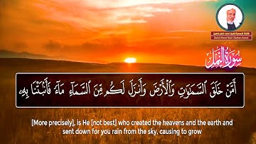 ﴿قُلِ الحَمدُ لِلَّهِ وَسَلامٌ عَلى عِبادِهِ﴾ | تلاوة عطرة للشيخ أحمد خليل شاهين Surah Al-Naml