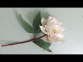 How to make a peony flower with crepe paper