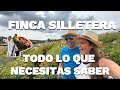 FINCA SILLETERA - TODO LO QUE NECESITAS SABER