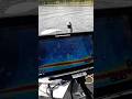 Cheating In Fishing?