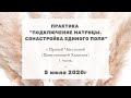 203 Практика "Подключение матрицы. Сонастройка единого поля." Тело, эфирное поле, сознание, душа. 1ч