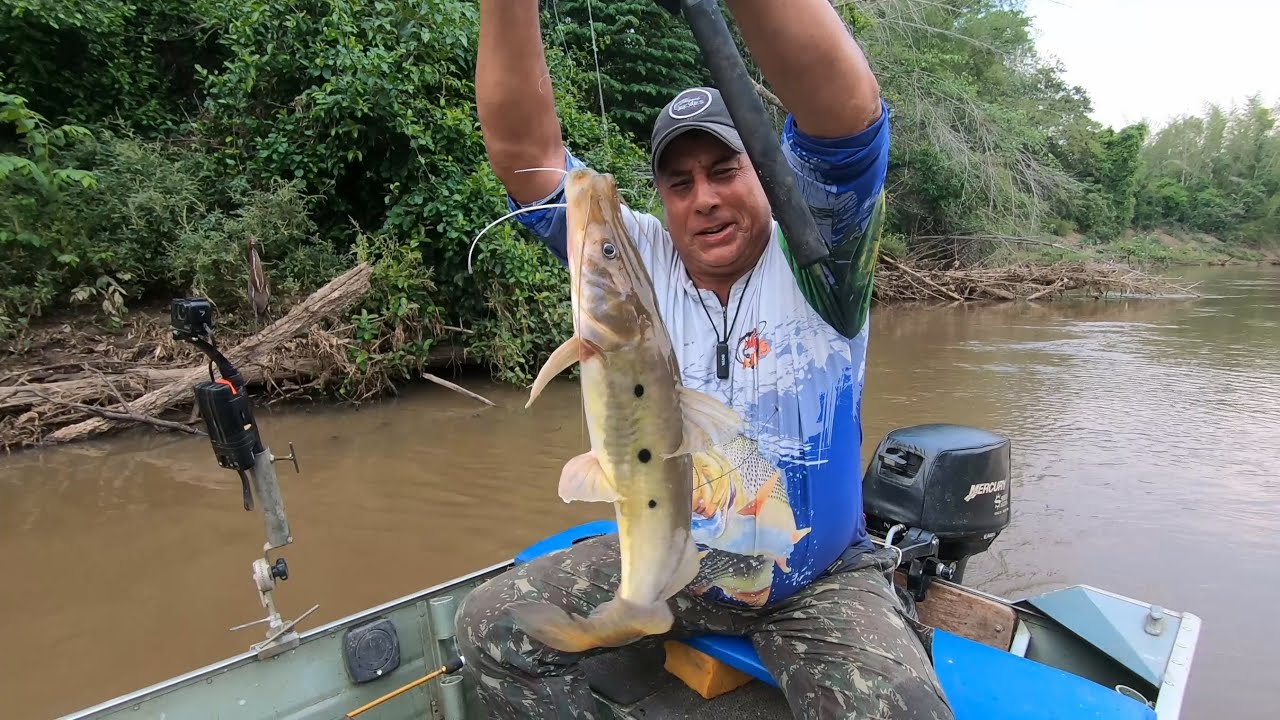 NESTA CONDIÇÃO A ISCA IDEAL É O LAMBARI VIVO (#pescaria  #riomiranda )