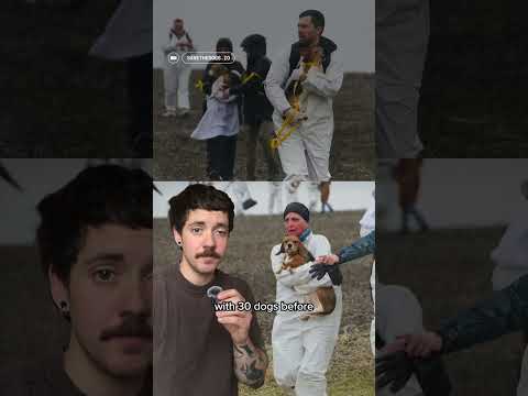 Video Police fire tear gas on activists storming beagle facility
