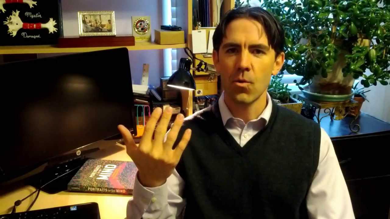 11 Introduction - Classical Conditioning Stimulus Generalization - YouTube