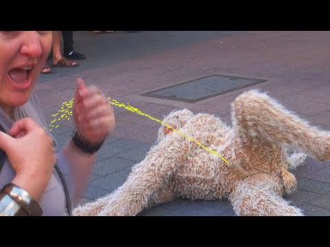 Scary Dog Surprise! Funny Prank Caught On Video! - YouTube