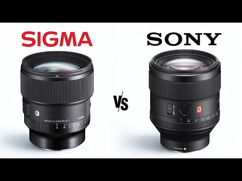 Sigma 16-300mm vs Sony Sony 50-150mm: Battle of Zoom lens - YouTube