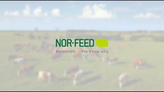 Nor-Feed | Botanicals: You Know Why
