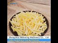 Fully Automatic Frying Machine #machine #food