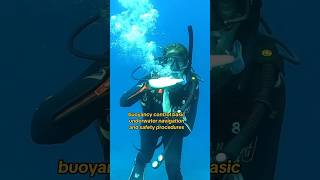 How to Learn Scuba Diving#shorts