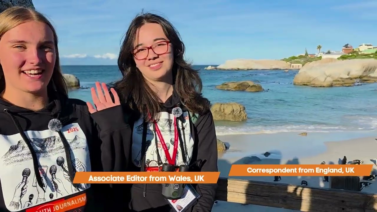 African penguins on Boulders Beach