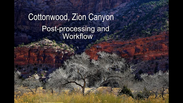 Cottonwood, Zion Canyon | Post Processing and Workflow