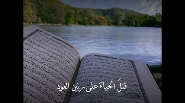 أنشودة يا قارئ القرآن داوي قلوبنا
