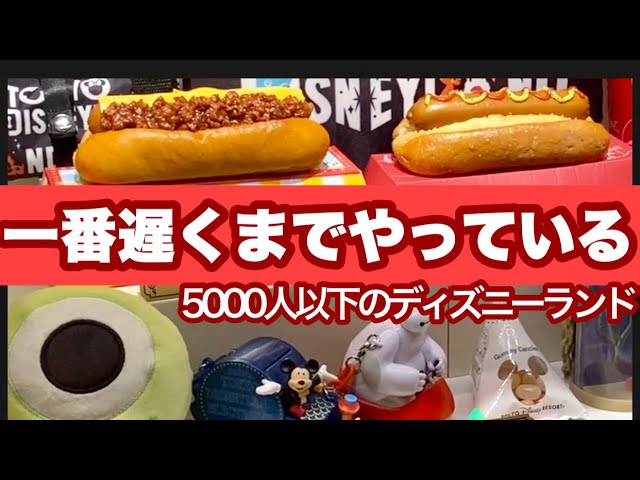 Tdl 5000人以下のランド 一番遅くまでやっているレストラン リフレッシュメントコーナー Youtube
